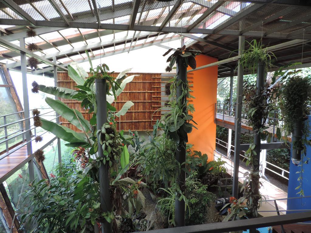 Celeste Mountain Lodge Bijagua Bagian luar foto